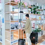 Zoku 4* Kopenhaga