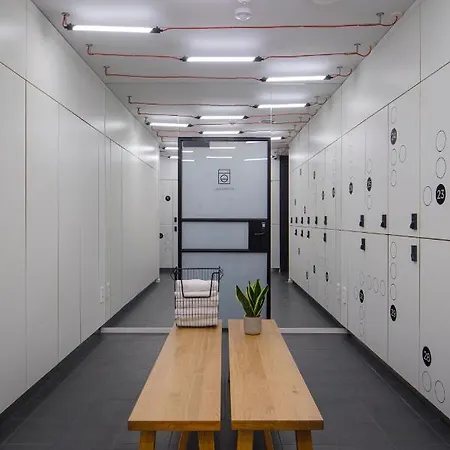 Zoku 4*