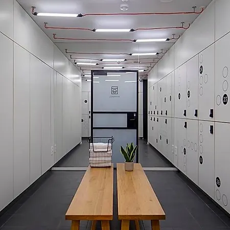 Zoku